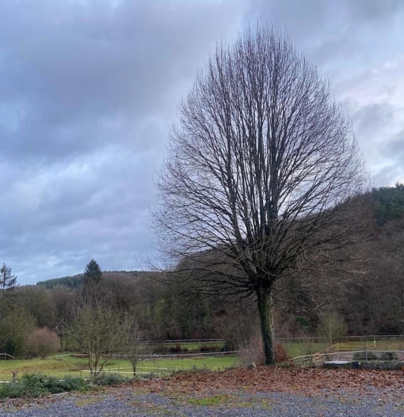 Vila Le Ranch Des Aguesses Andenne Exteriér fotografie