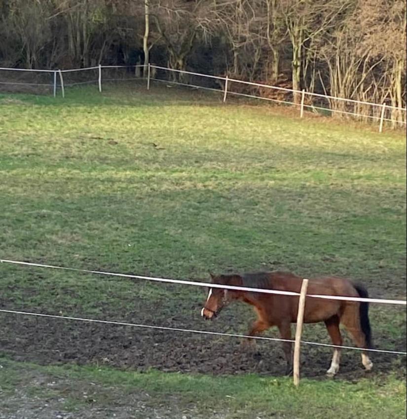 Vila Le Ranch Des Aguesses Andenne Exteriér fotografie