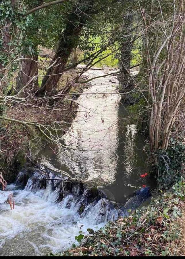 Vila Le Ranch Des Aguesses Andenne Exteriér fotografie