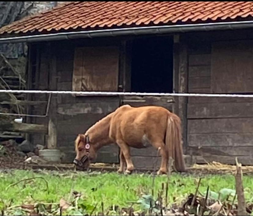Vila Le Ranch Des Aguesses Andenne Exteriér fotografie