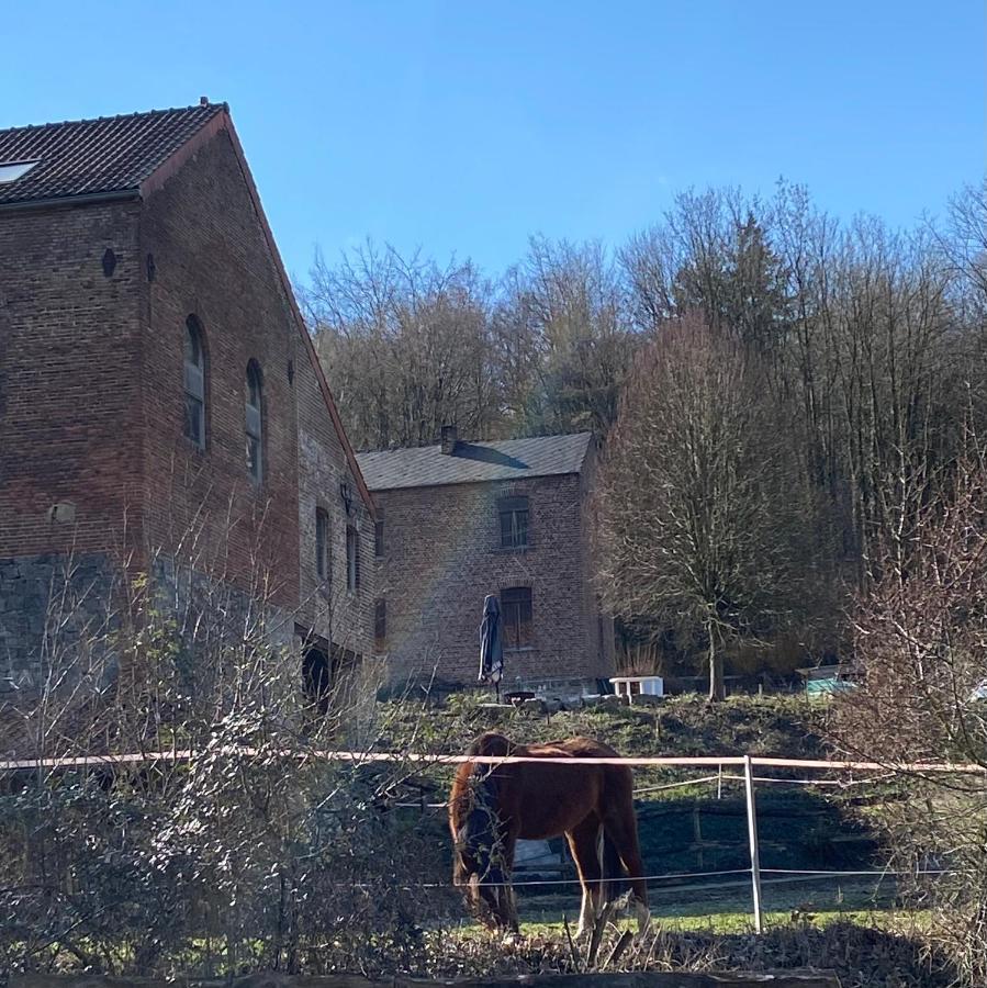 Vila Le Ranch Des Aguesses Andenne Exteriér fotografie