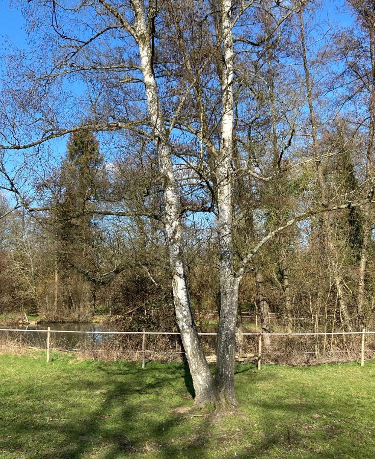 Vila Le Ranch Des Aguesses Andenne Exteriér fotografie
