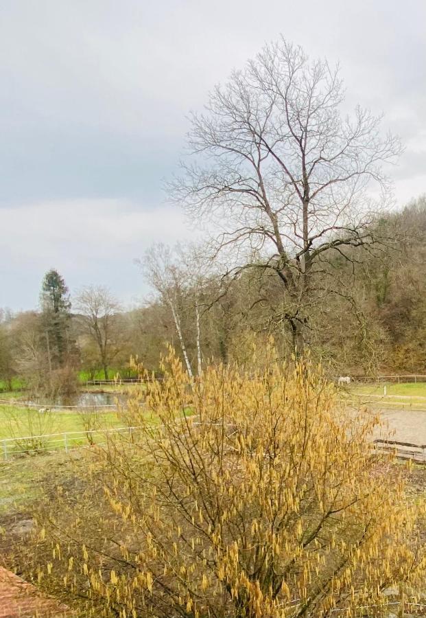 Vila Le Ranch Des Aguesses Andenne Exteriér fotografie