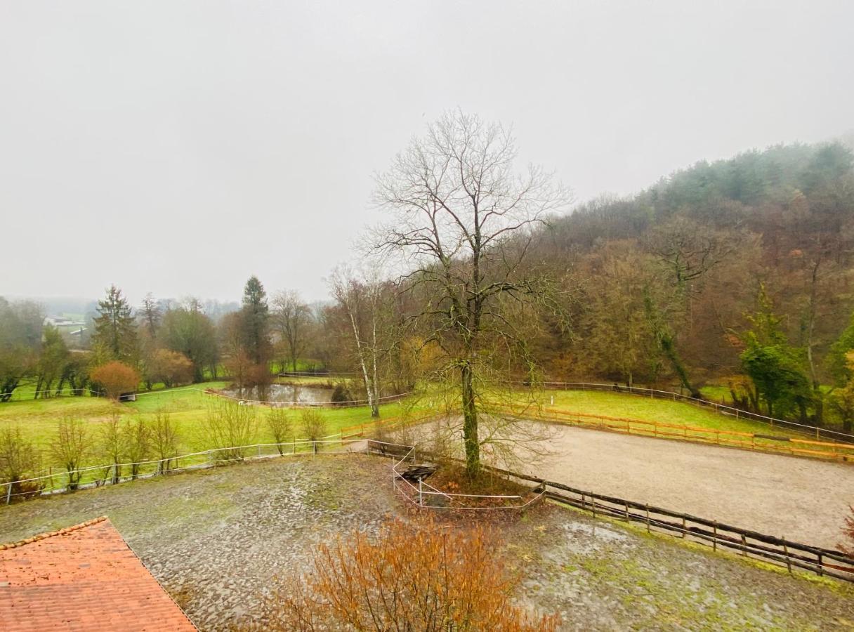 Vila Le Ranch Des Aguesses Andenne Exteriér fotografie