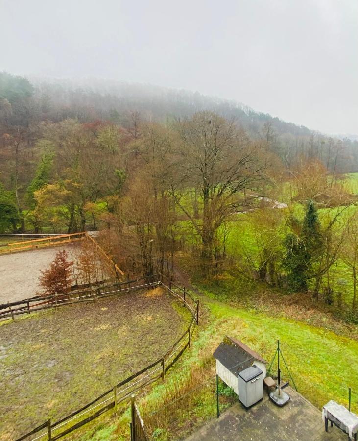 Vila Le Ranch Des Aguesses Andenne Exteriér fotografie