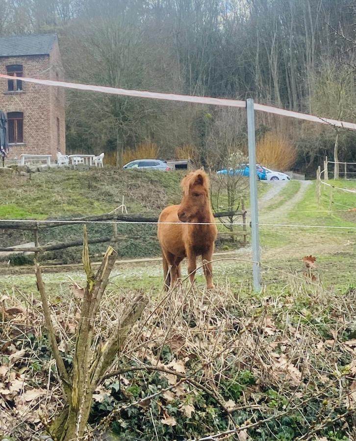 Vila Le Ranch Des Aguesses Andenne Exteriér fotografie